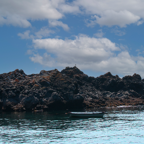 Solitude on the Rocks