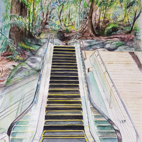 Escalator to the Rainforest