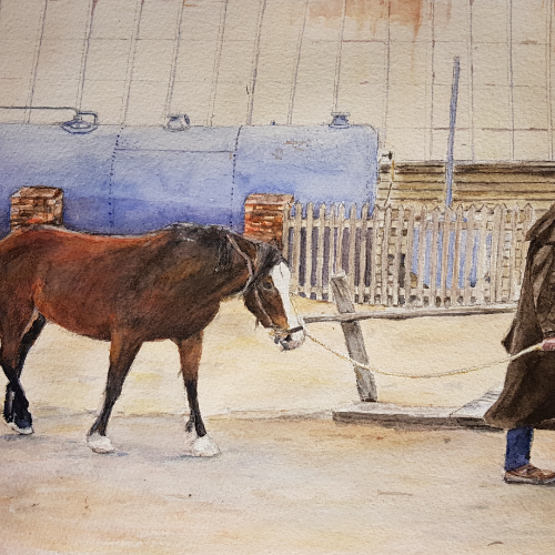 Drover at Sovereign Hill