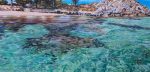 cropped-IMG_3193_IkenRotto_ps_smaller_web.jpg