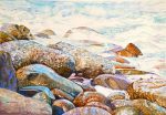 wet-rocks-