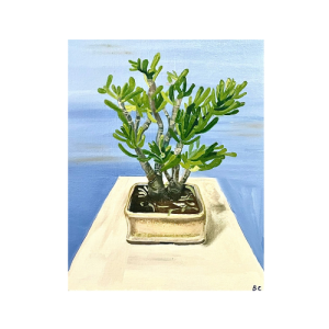 Bonsai Tree