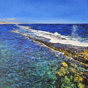 Port Noarlunga Reef