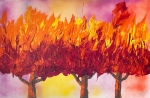 AutumnBlazeshop300