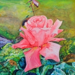 Gorgeous pink rose 2000