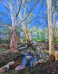 Gums by the creek 2500