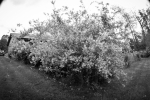IMG_1777-1.jpeg