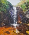 Second Waterfall at Waterfall Gully 2200