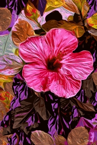 Pink Hibiscus Bloom