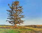 solitary tree better one 1800