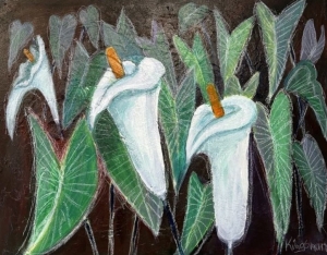 White Calla Lilies no 3