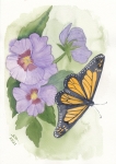 Pansies-and-Monarch-Butterfly-1.jpg
