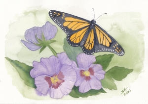 Monarch Butterfly and Pansies