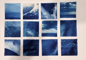 Cyanotype Sea Studies