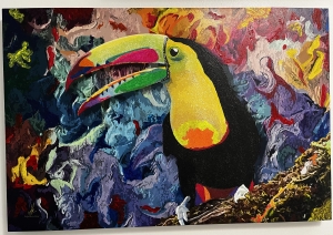 Toucan in a Dream