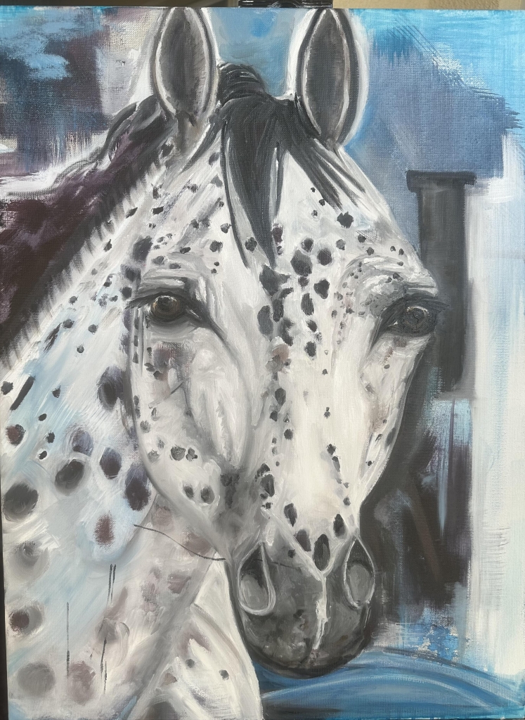 Appaloosa Horse Portrait