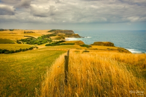 Coastal Landscape: Along the Divide