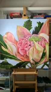 Waratah Flower Study