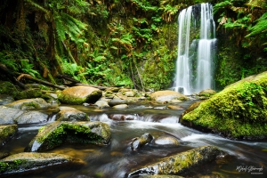 Serene Waterfall in Lush Rainforest