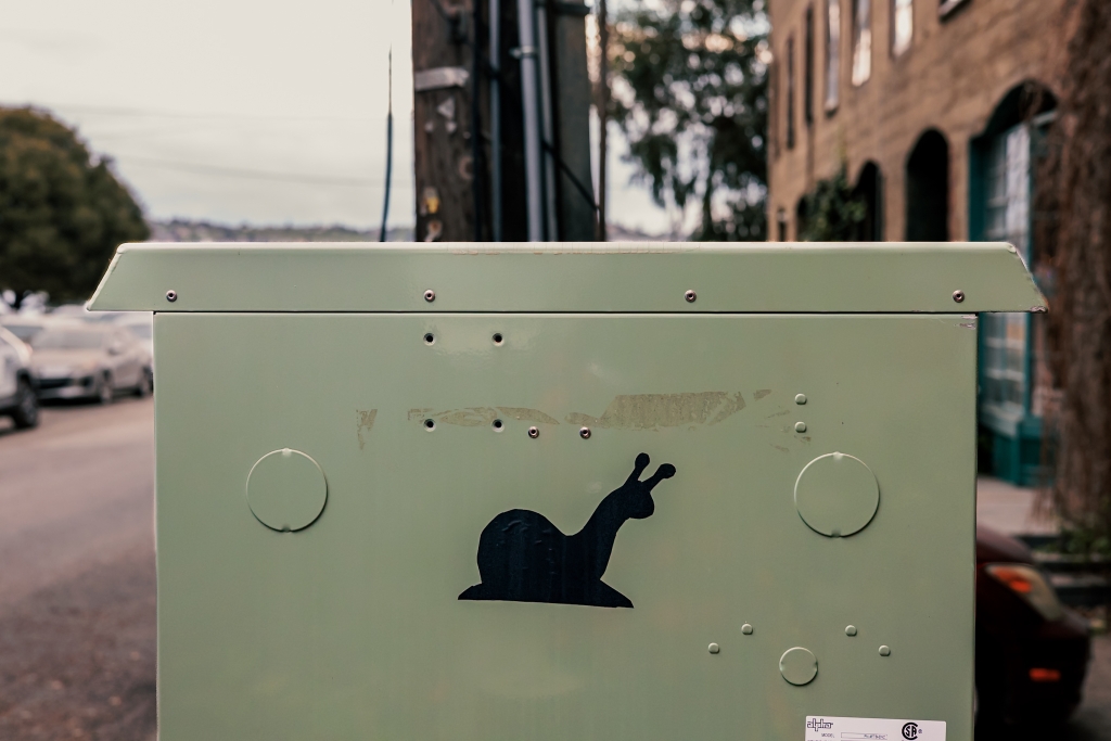 Snail on a Box