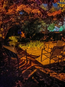 Nightfall in the Garden