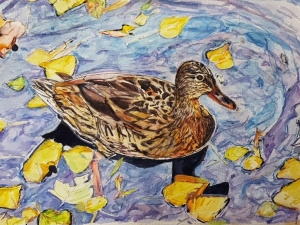 Mallard Duck in Autumn Leaves