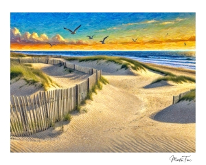 COASTAL SAND DUNES AT SUNSET