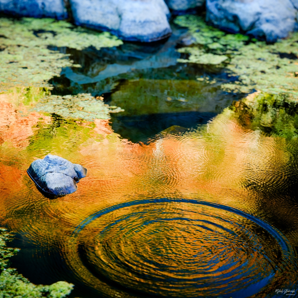 Ripples, Redbank Gorge