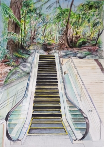 Escalator to the Rainforest