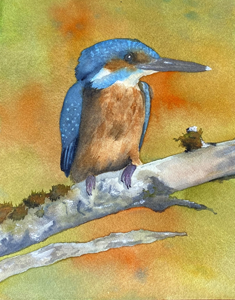 Kingfisher on Branch