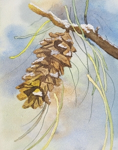 Winter Pine Cone