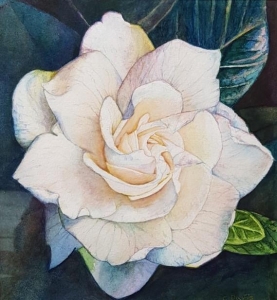 Gardenia Bloom