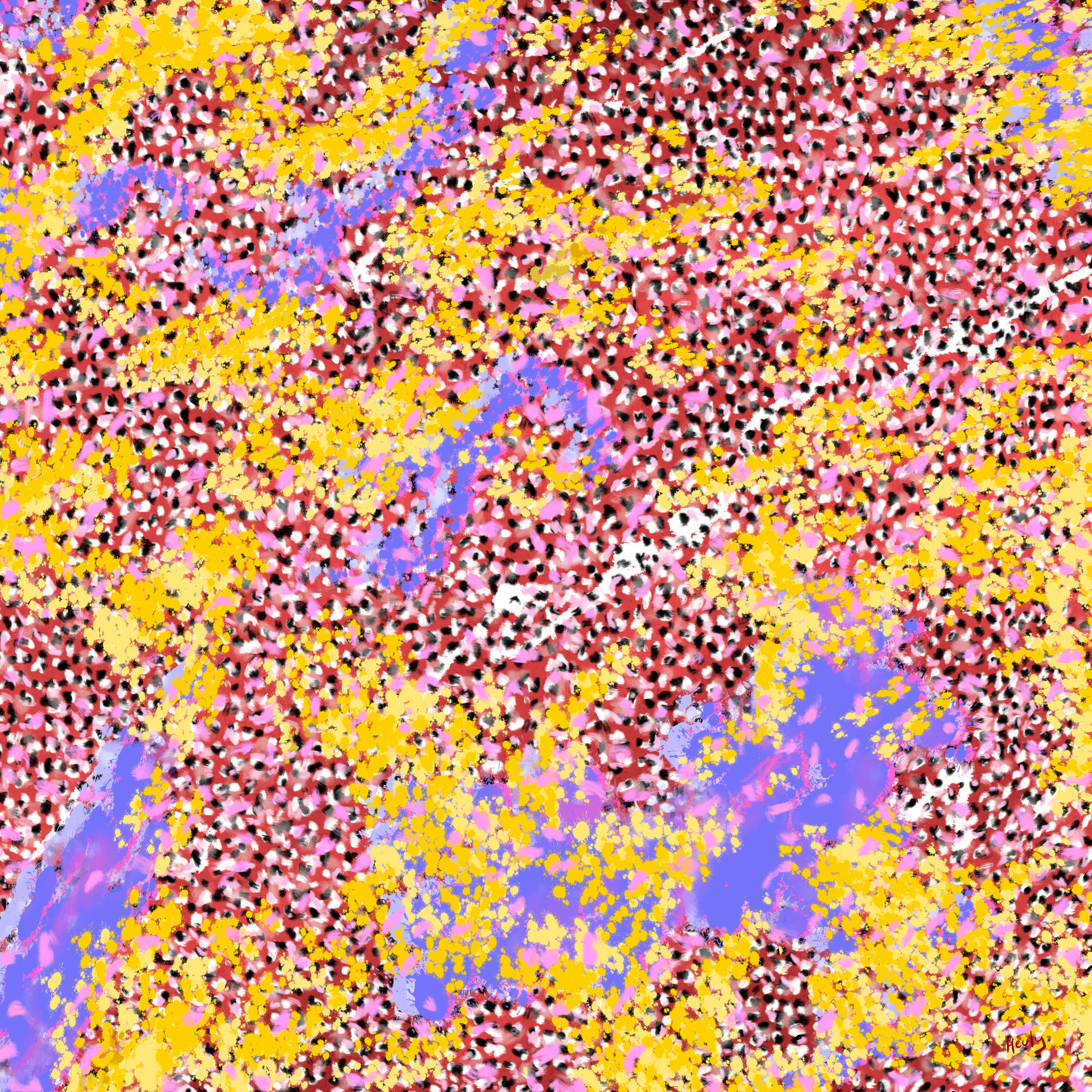 African Spring and the Weeping Wattle