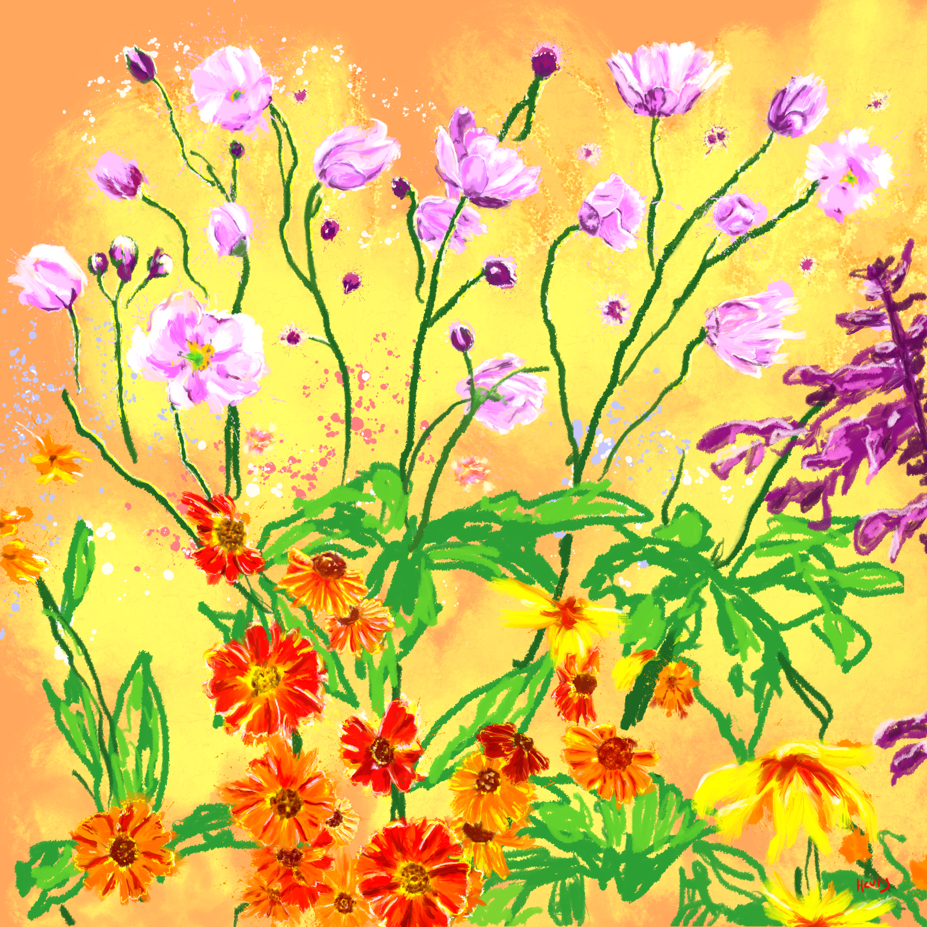 Poppies and Daisies