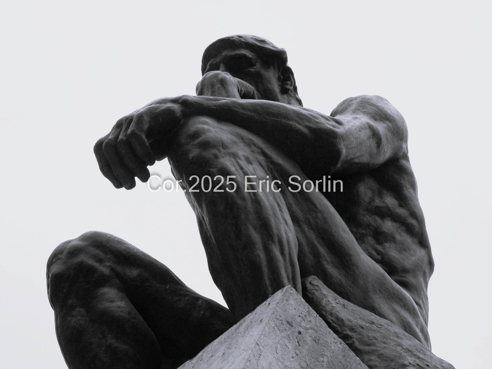 The Thinker Collection Photo 2
