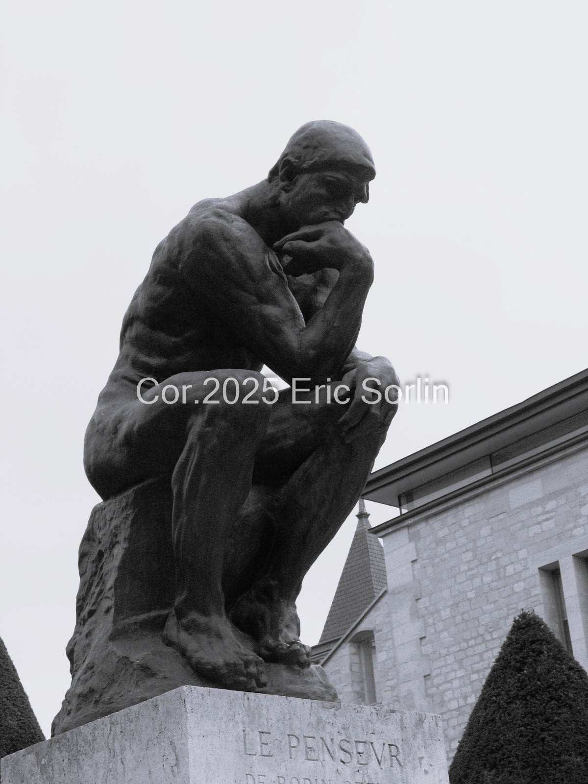 The Thinker Collection Photo 1
