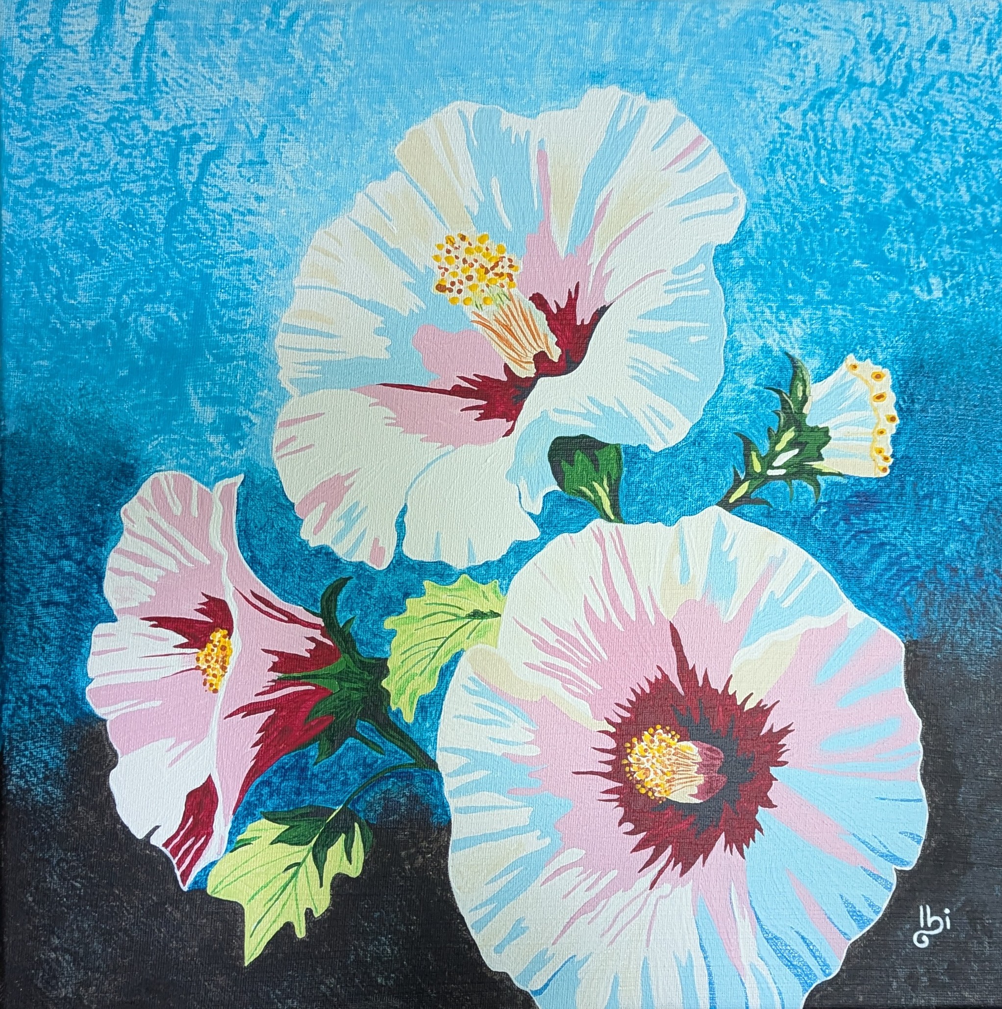 Hibiscus