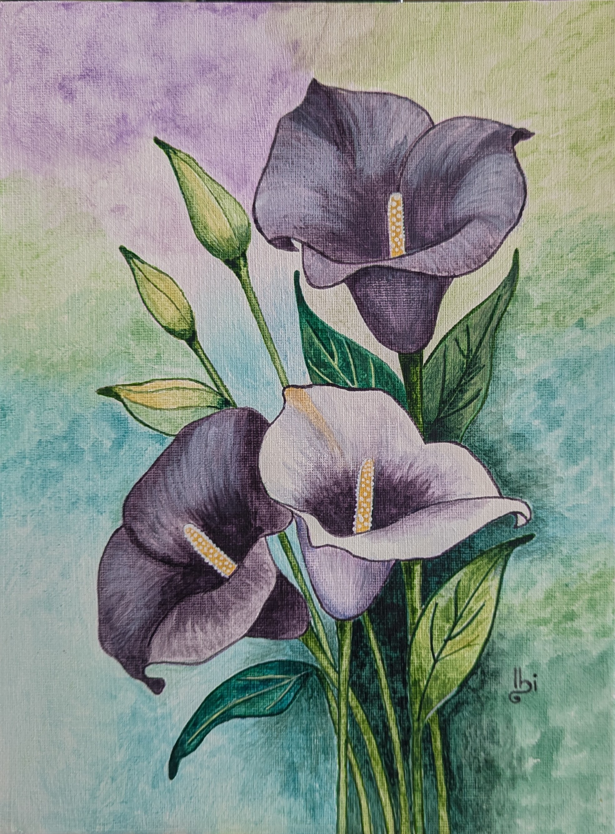 Calla Lilies