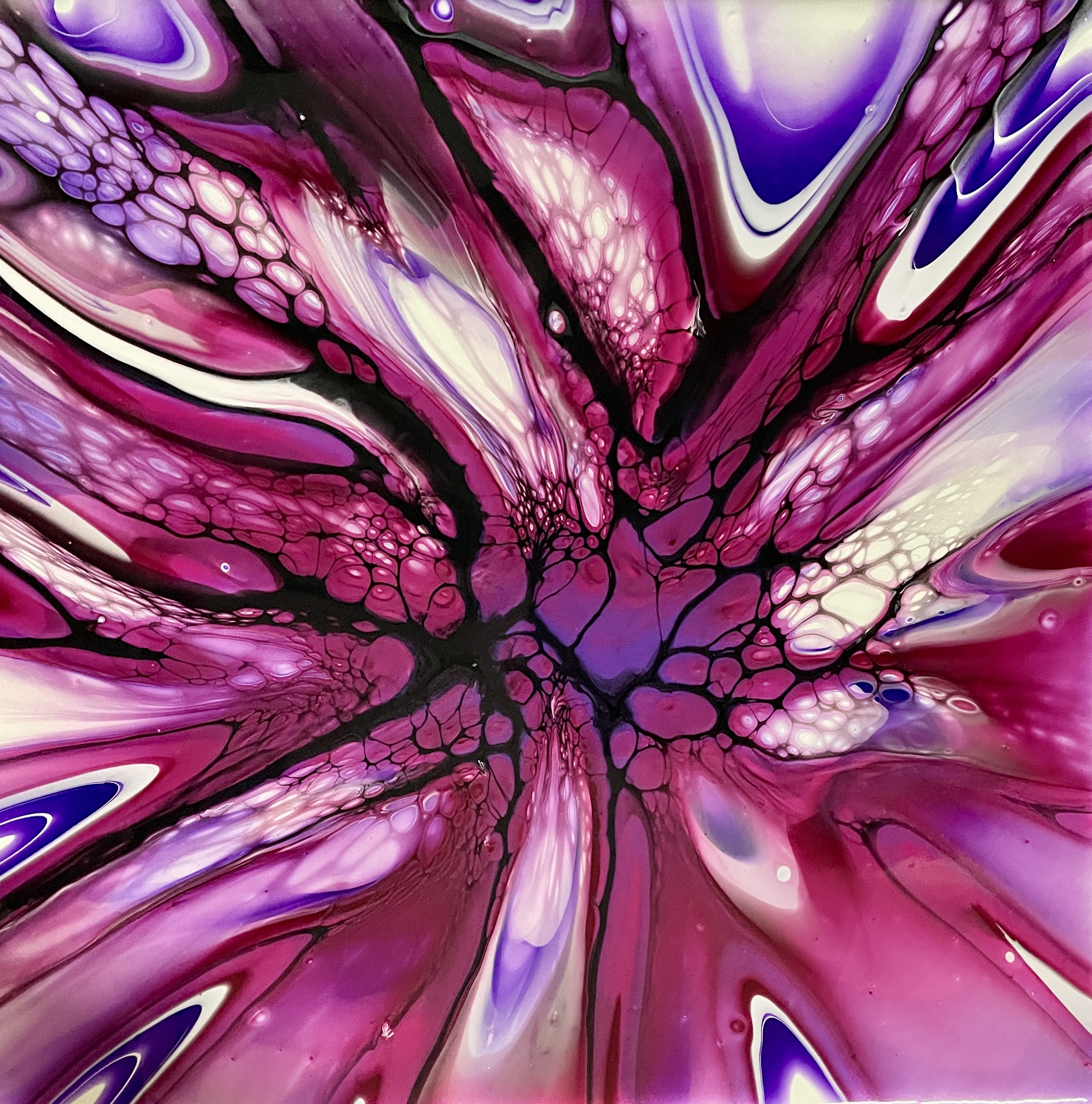 Bloom Burst