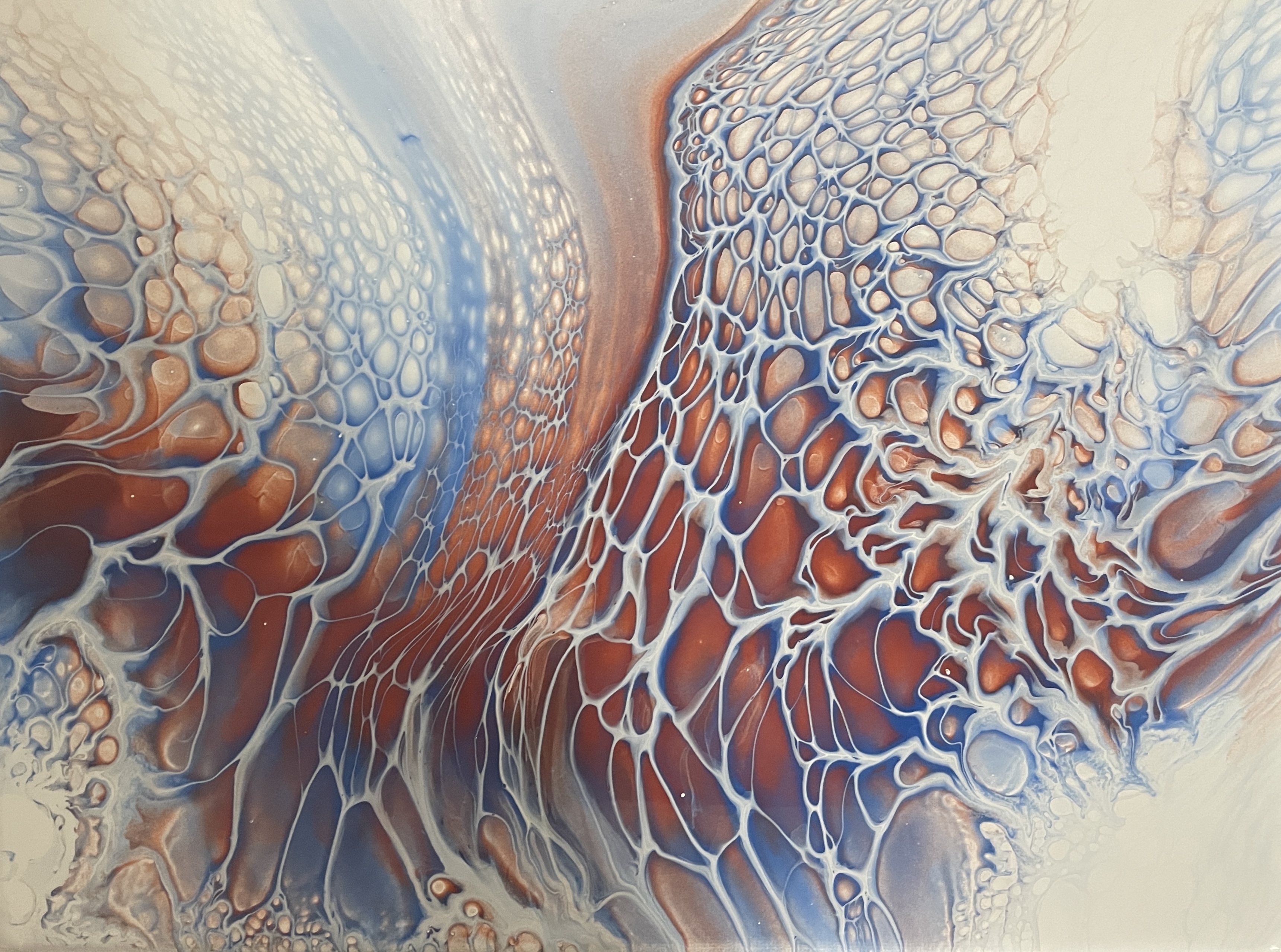 Cosmic Web