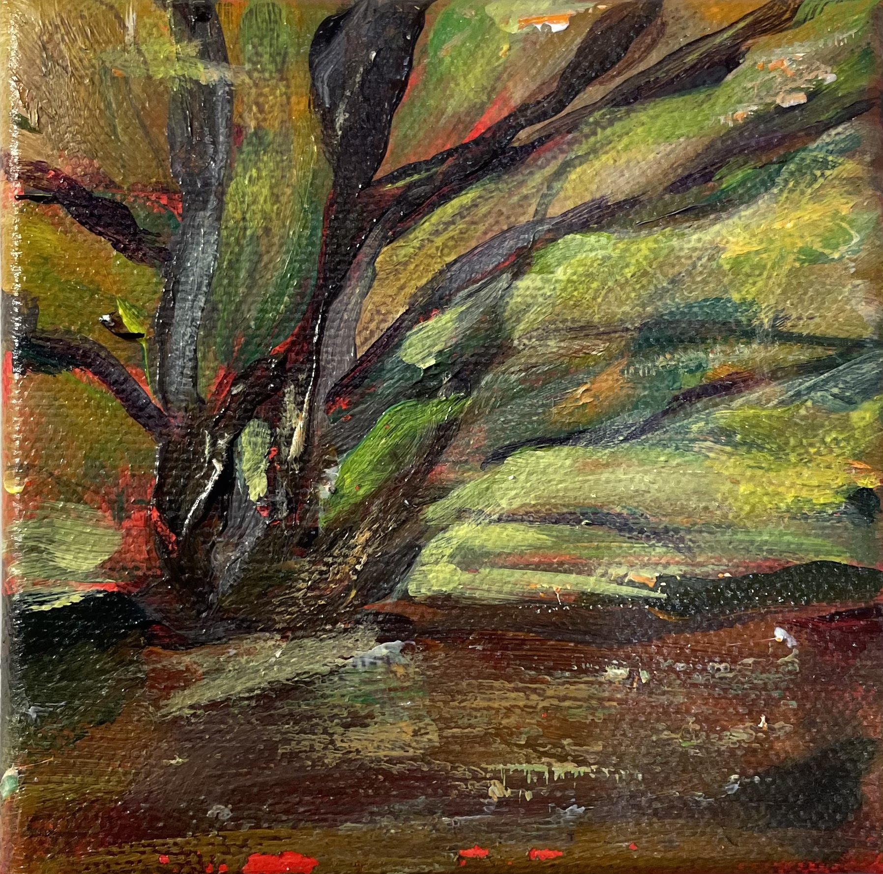 Whispers of the Ancient Forest
