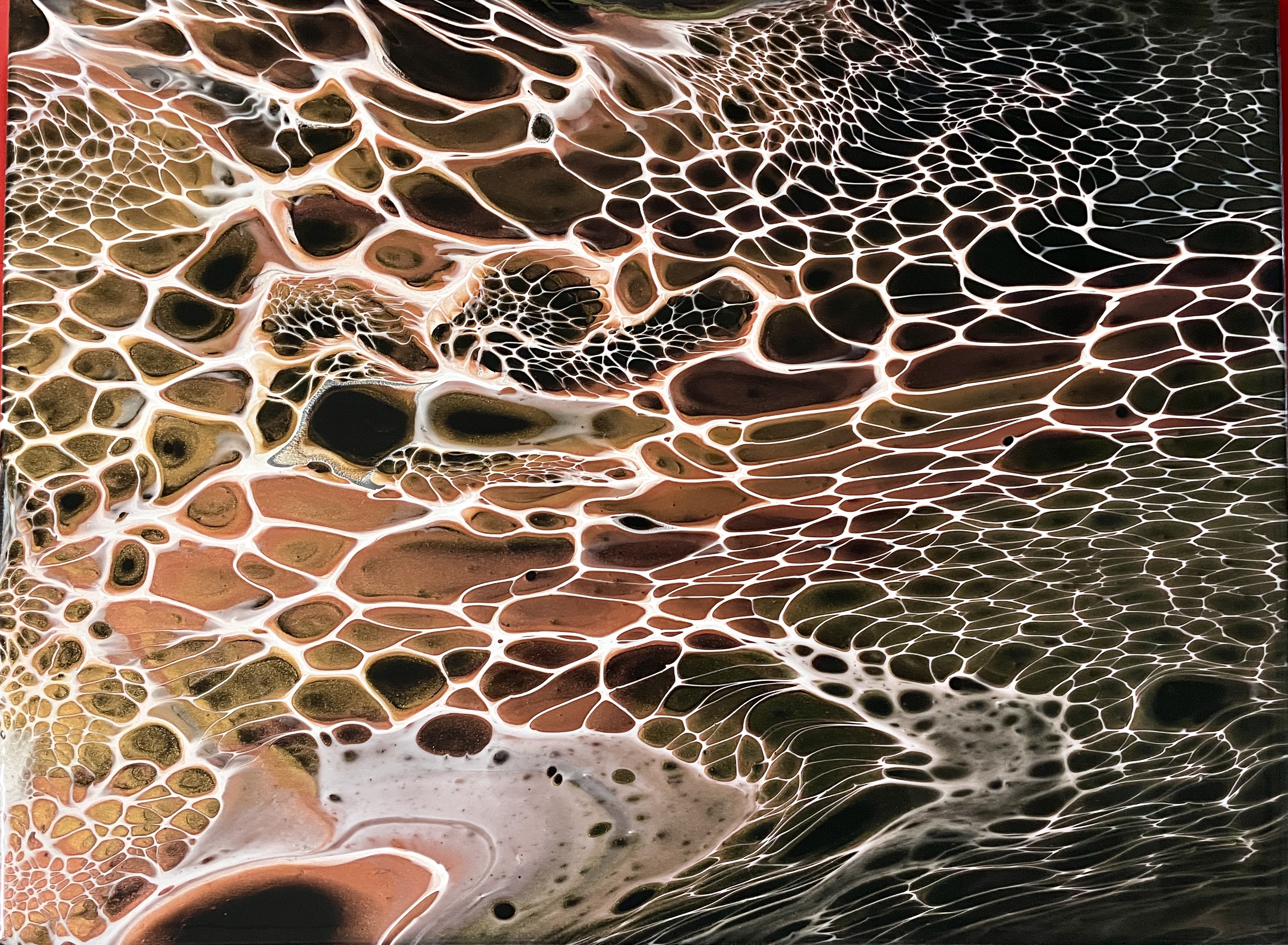 Black Lace_1