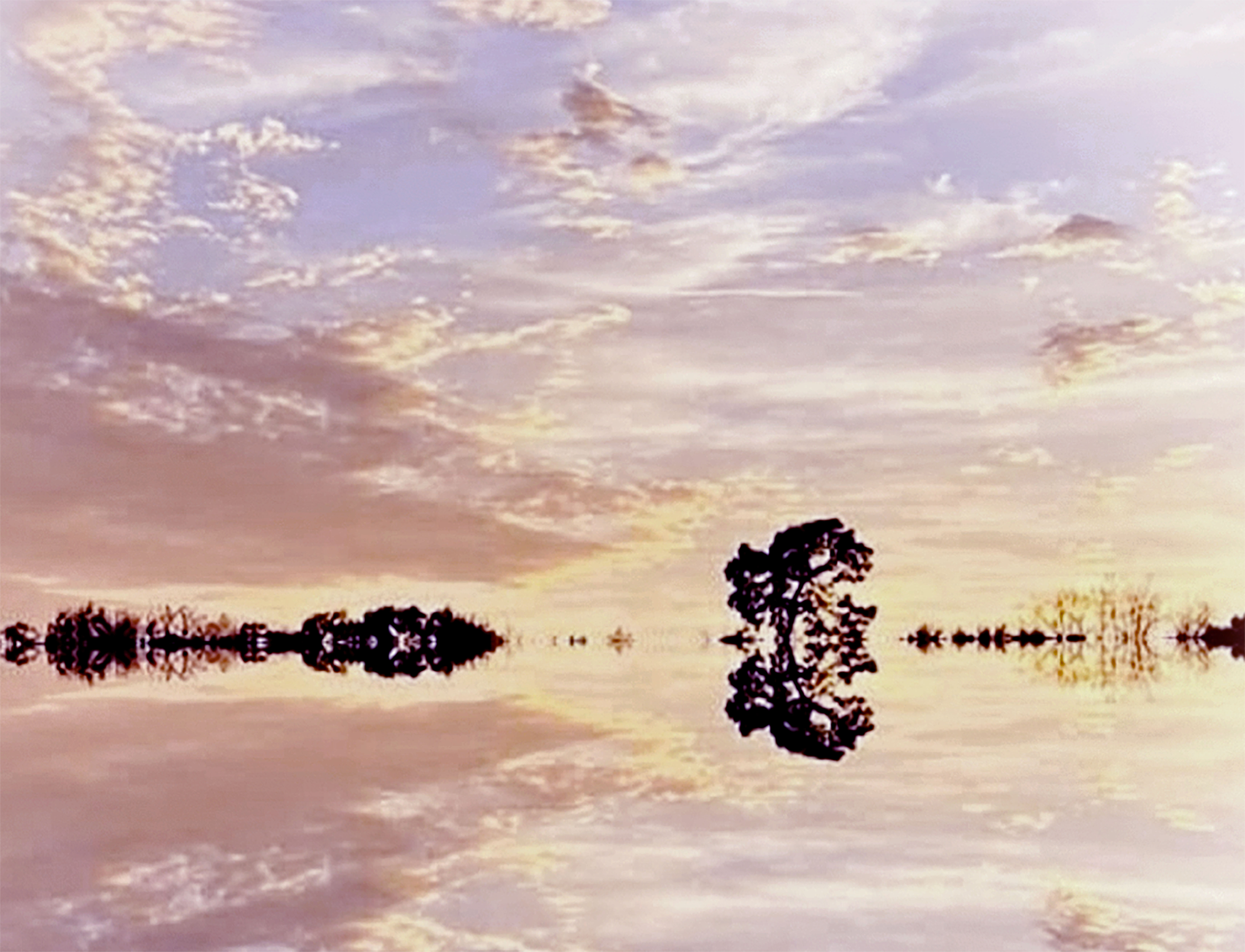 Memento Vivere
