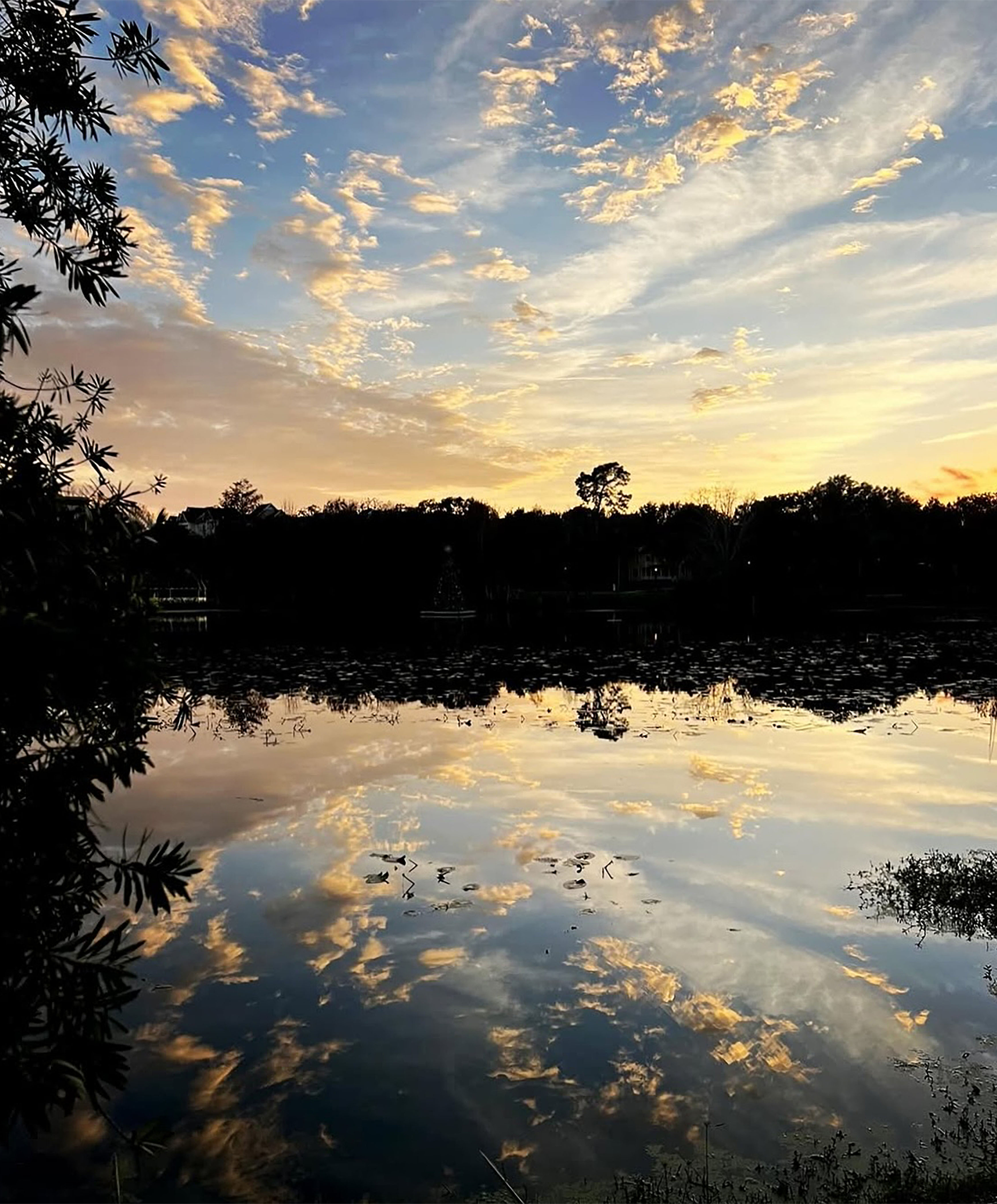 Reflections