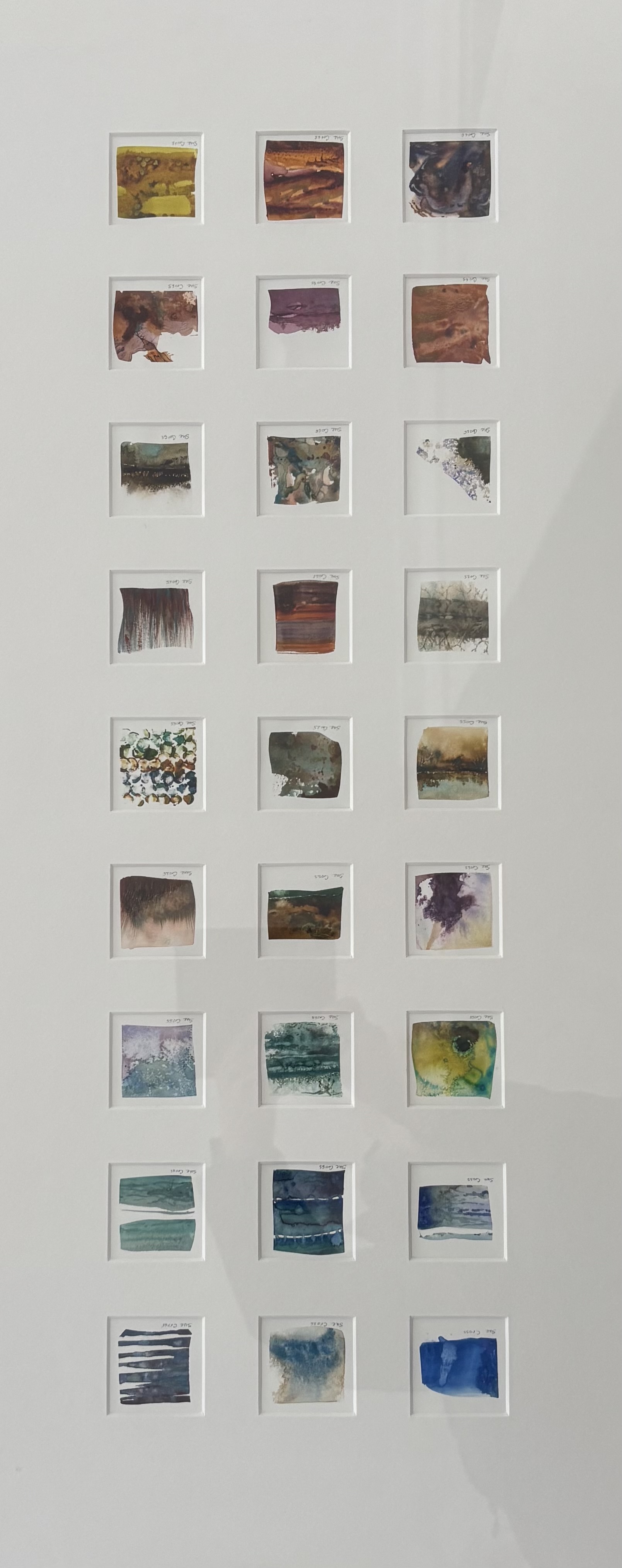 Microscapes